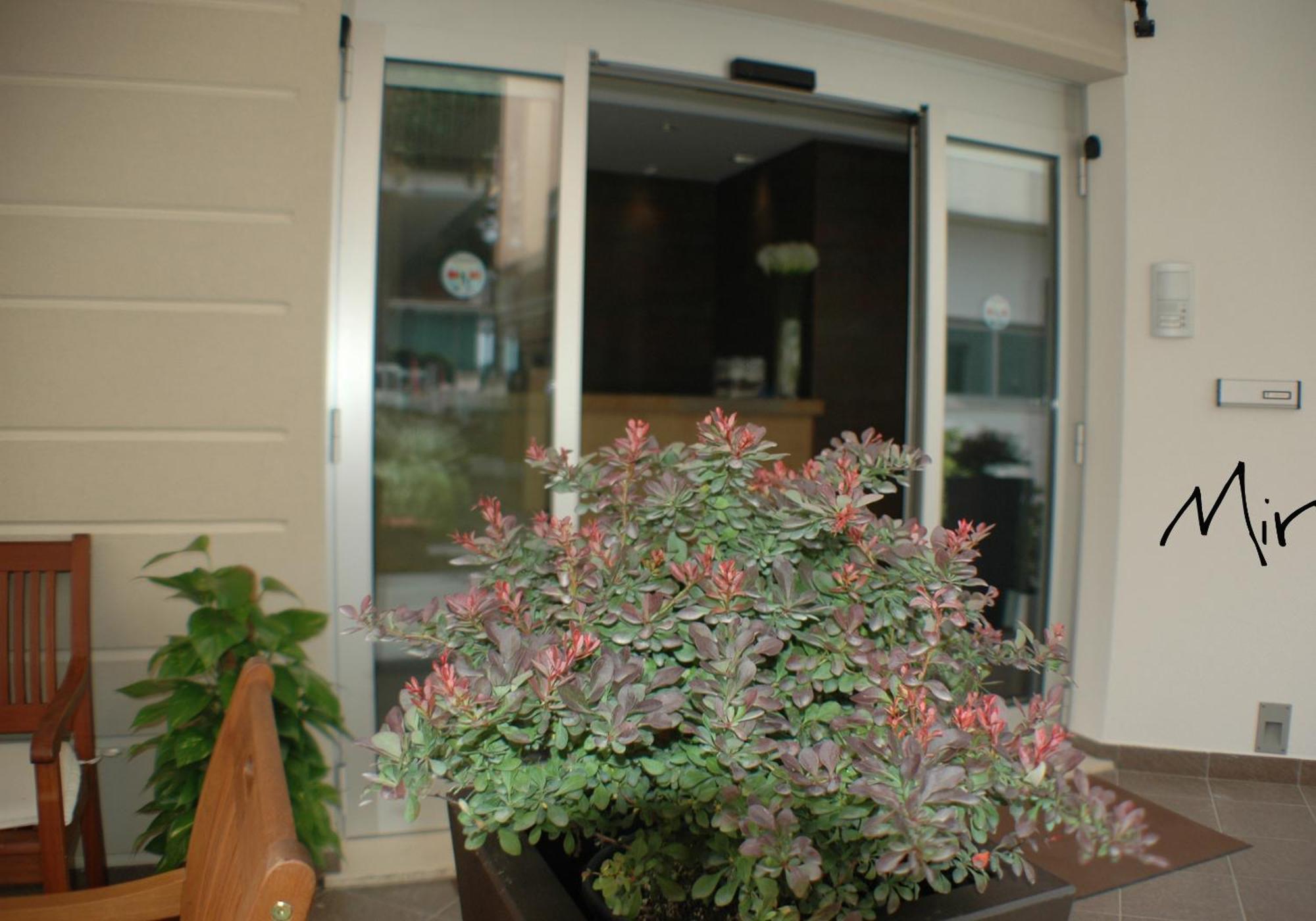 Hotel Miramare Pineto Exterior foto